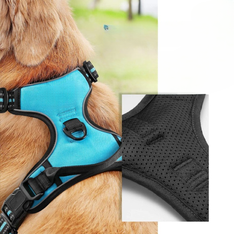 No-Pull Pet Harness With 2 Leash Clips