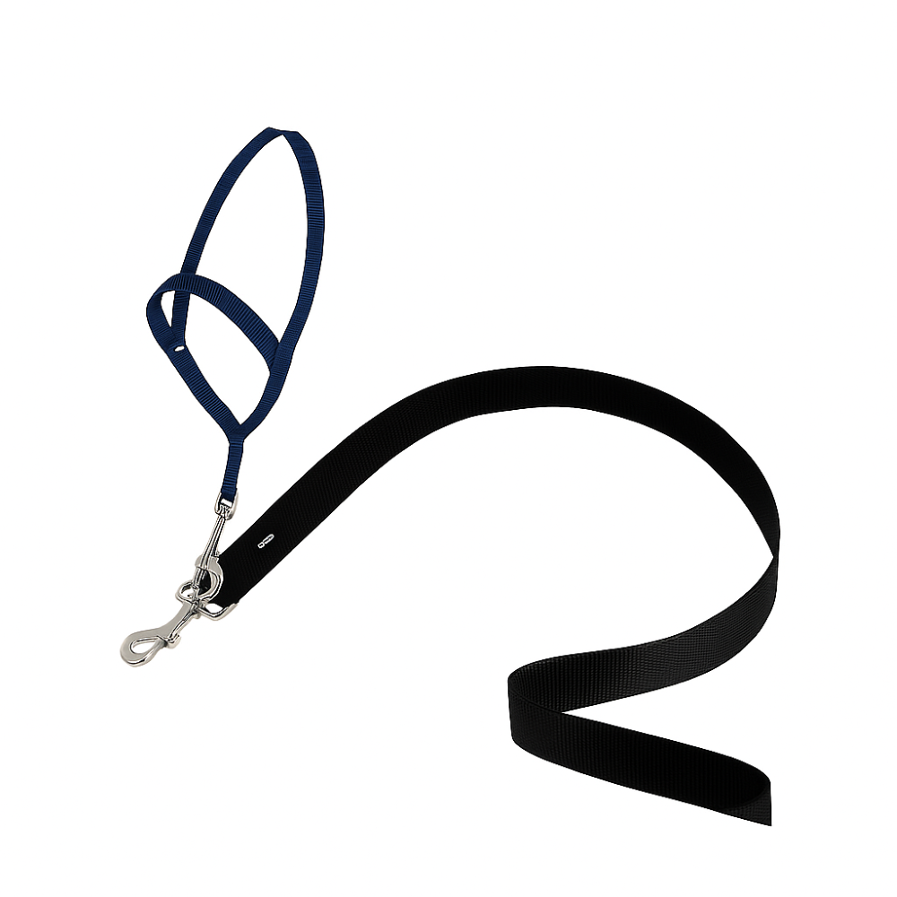 Adjustable No Pull Dog collar
