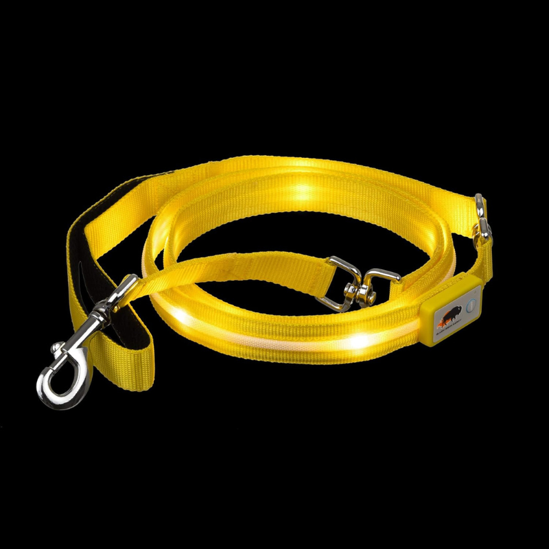 Pet Leash With USB Lighting
