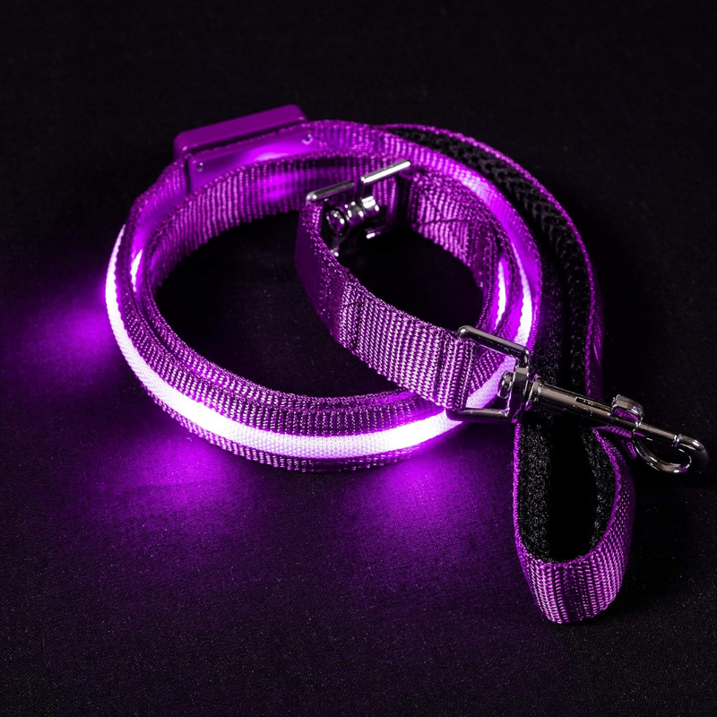 Pet Leash With USB Lighting