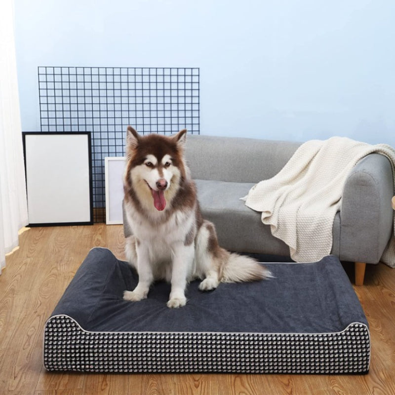 Orthopaedic Memory Foam Extra Large Dog Bed