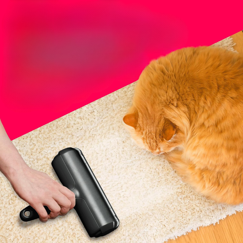 Portable Multi Surface Coat Remover