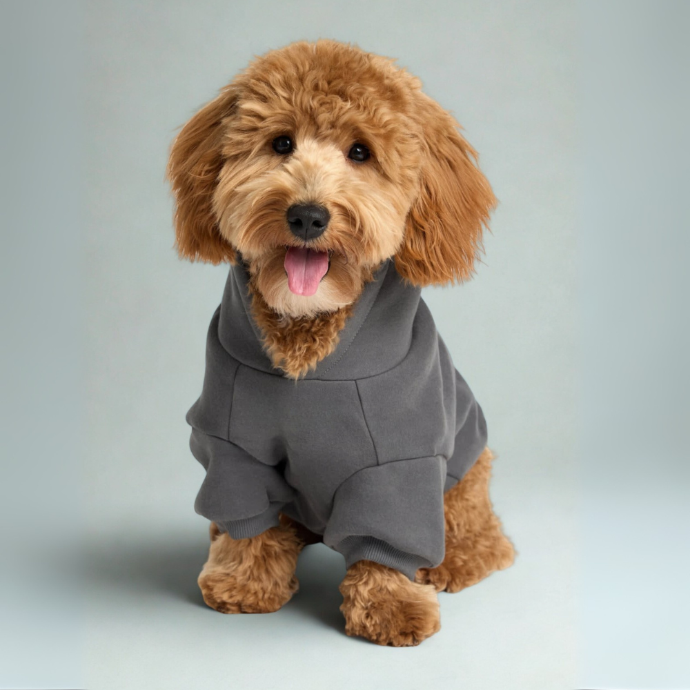 Cozy Hoodie For Dogs