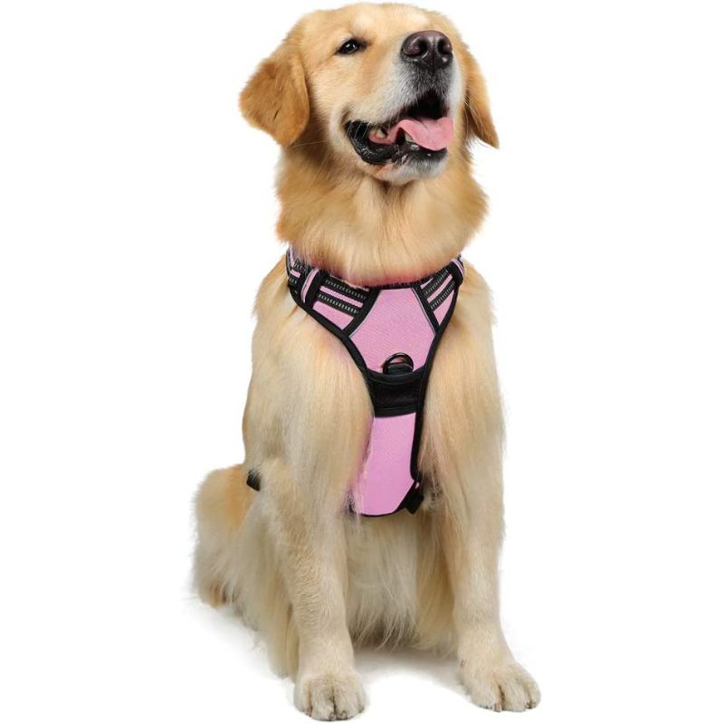 No-Pull Pet Harness With 2 Leash Clips