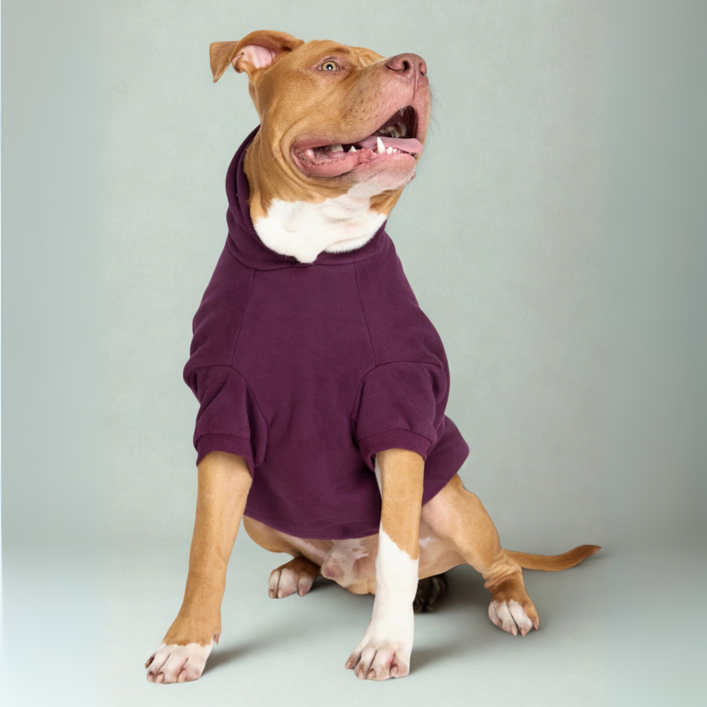 Cozy Hoodie For Dogs