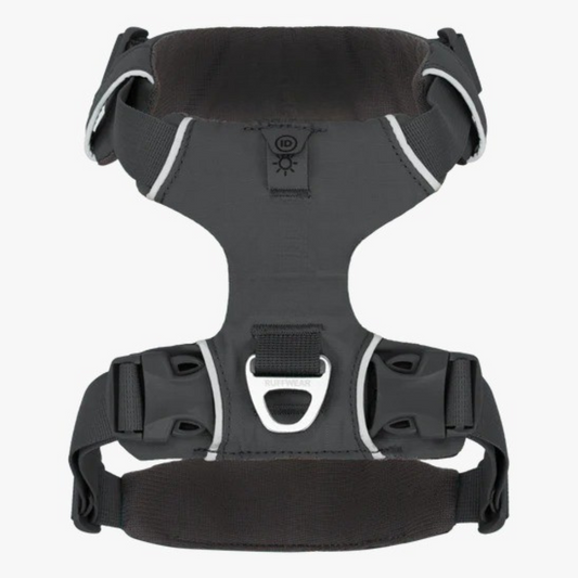Adjustable Adventure Dog Harness For Outdoor Walking