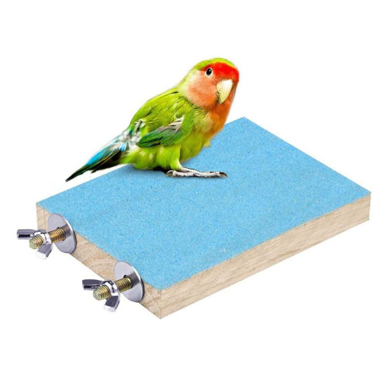 10 Pieces Climbing Birds Toy