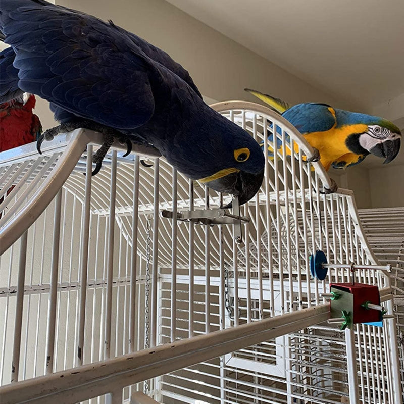 Bird Parrot Stand