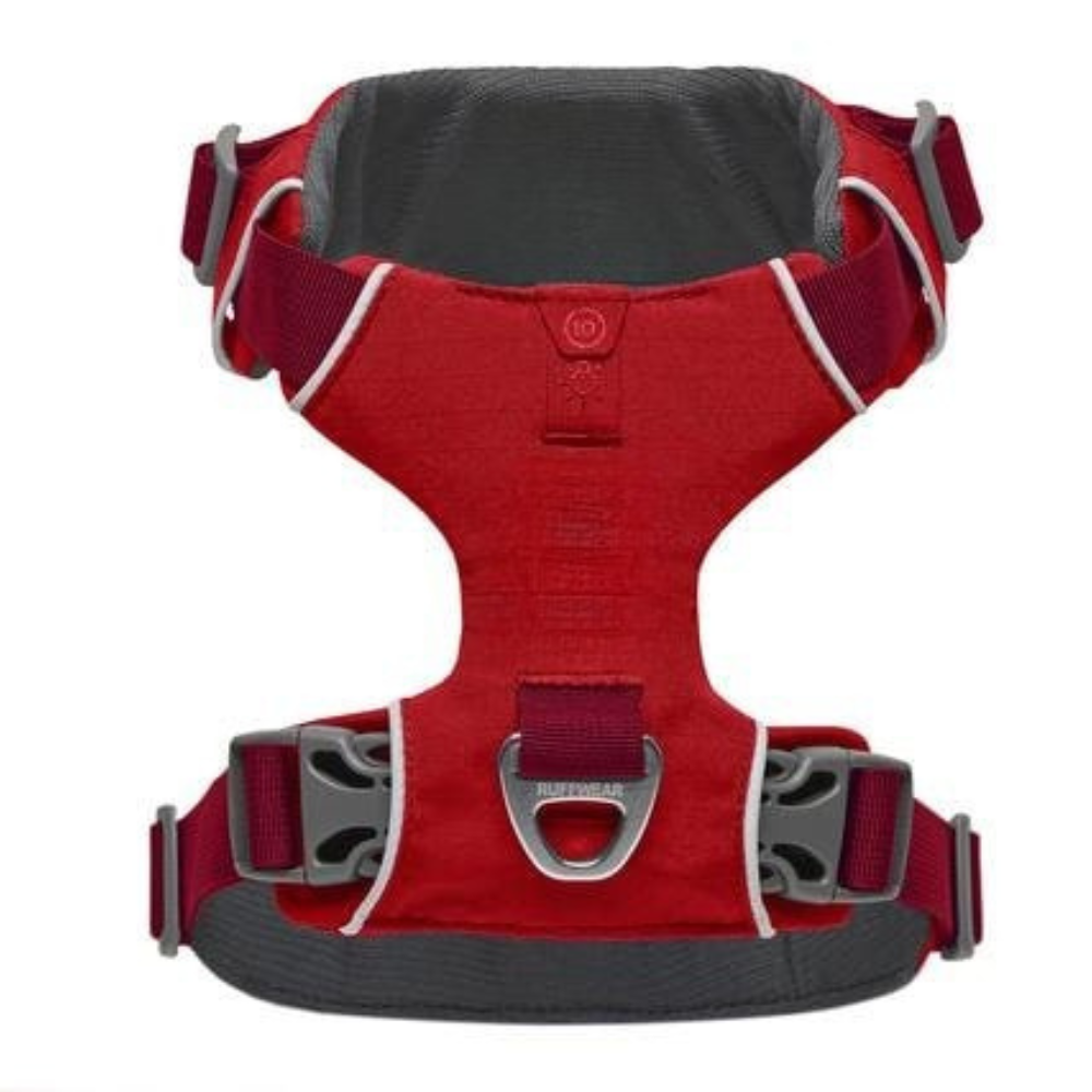 Adjustable Adventure Dog Harness For Outdoor Walking