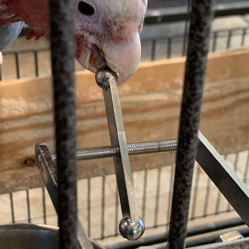 Bird Parrot Stand
