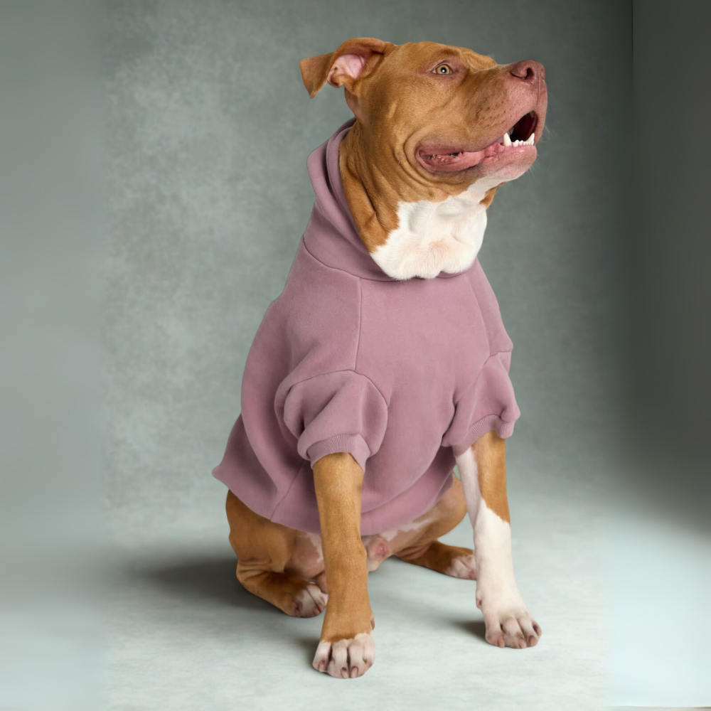 Cozy Hoodie For Dogs