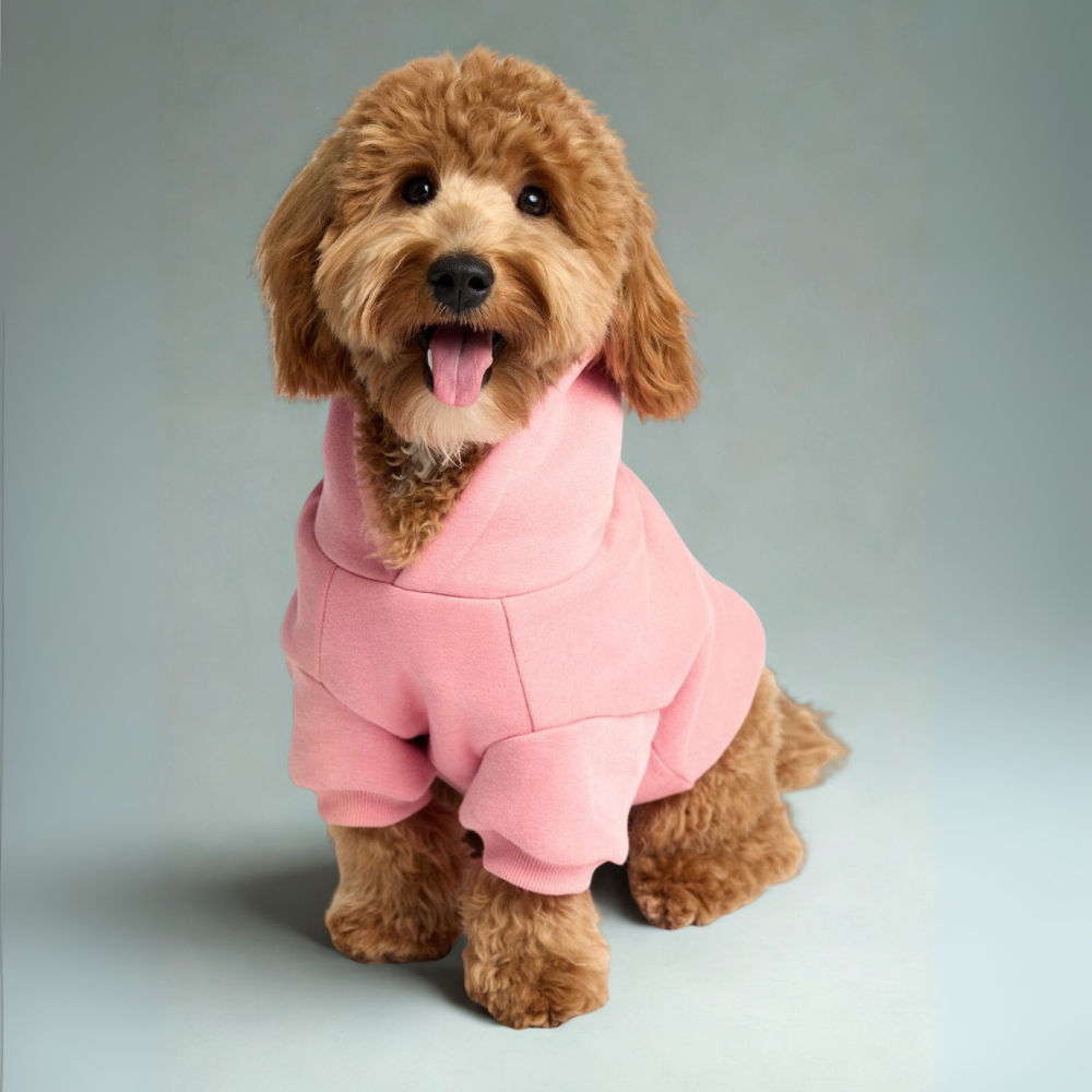 Cozy Hoodie For Dogs