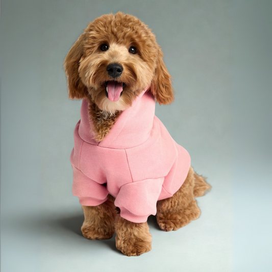 Cozy Hoodie For Dogs