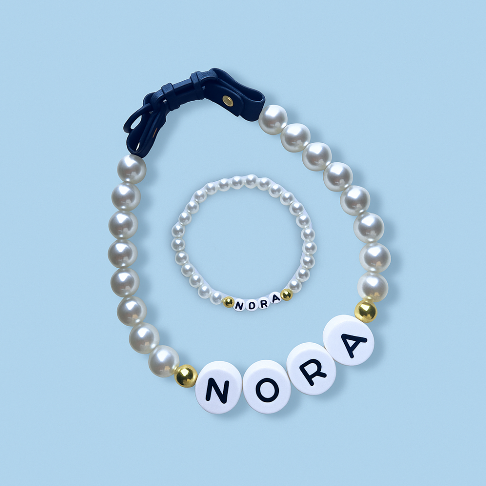 Dog Collar And Free Matching Bracelet