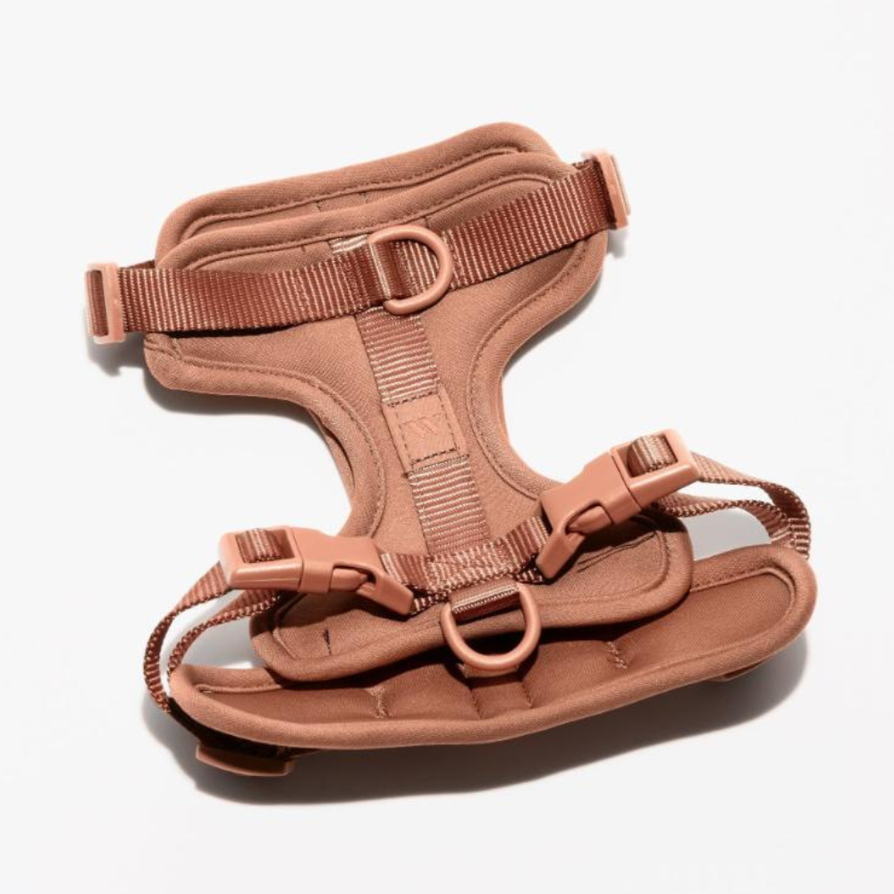 Wild One Dog Harness