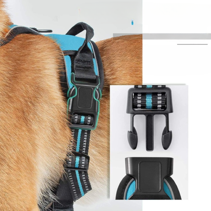 No-Pull Pet Harness With 2 Leash Clips
