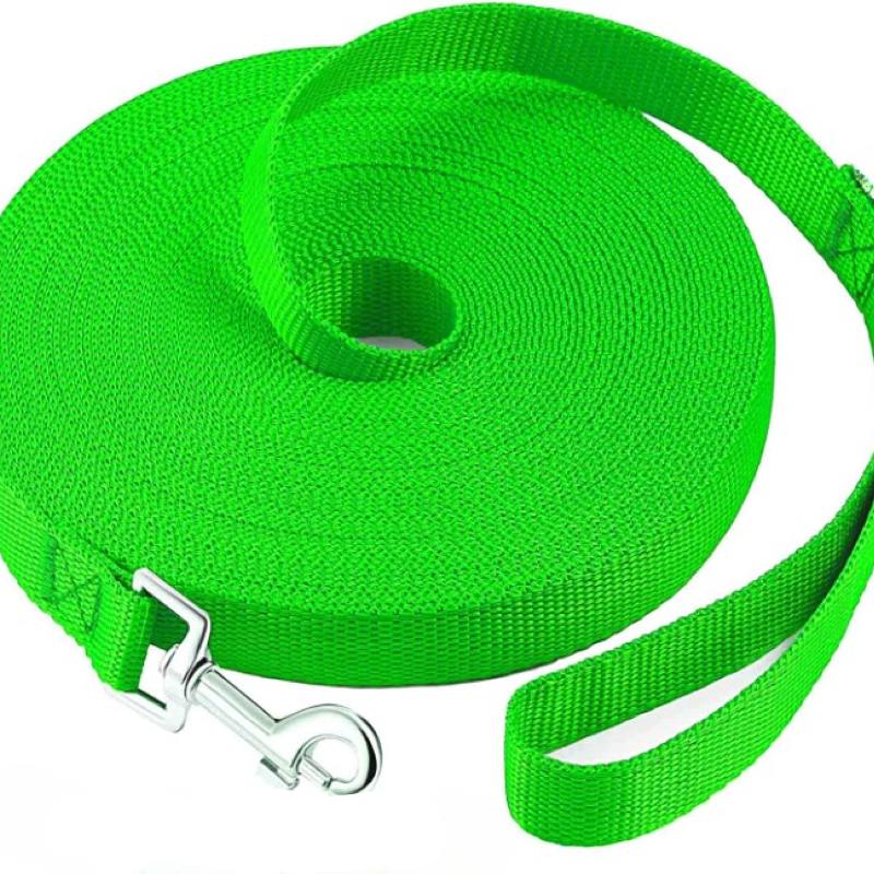 Puppy Obedience Recall Training Long Leash-For Dog