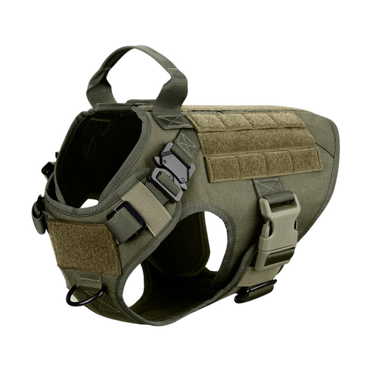 Dog Harness With Front And Back D Rings