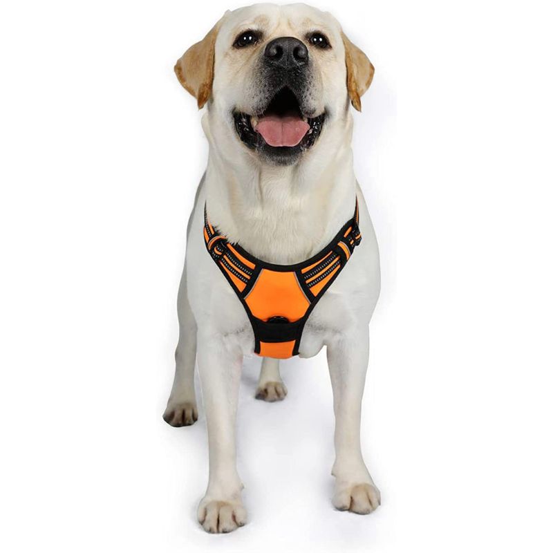No-Pull Pet Harness With 2 Leash Clips