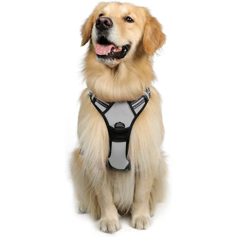 No-Pull Pet Harness With 2 Leash Clips