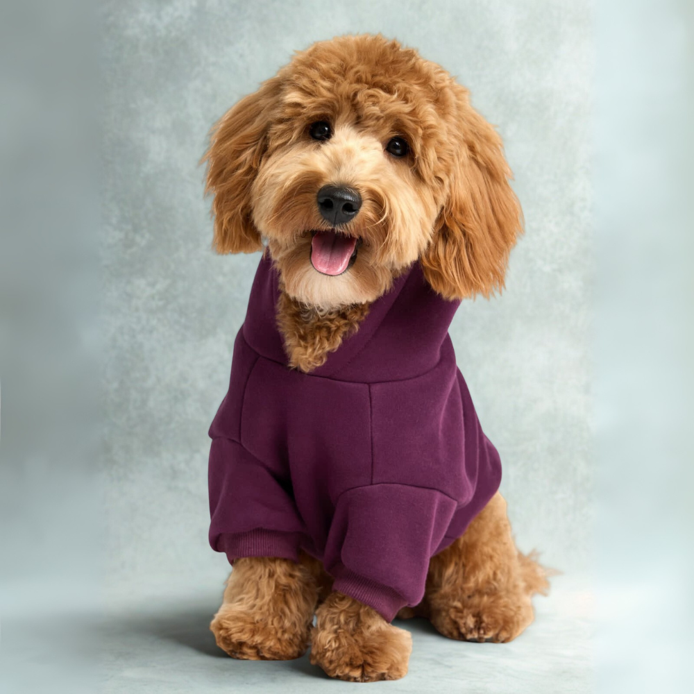 Cozy Hoodie For Dogs