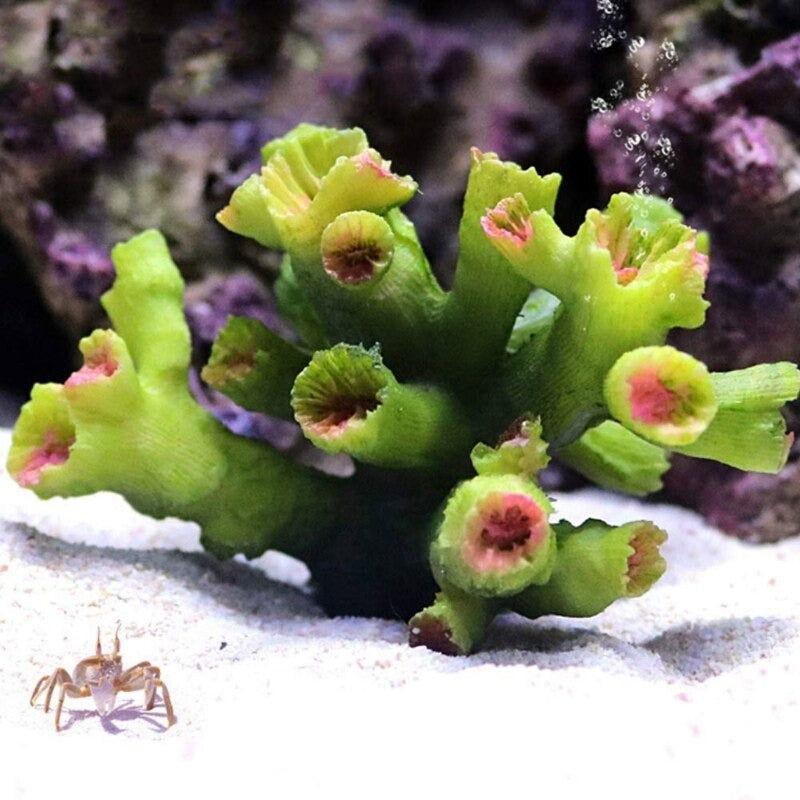 Resin Reef Coral Water Plant Ornament For Aquarium