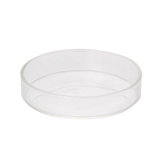 Shrimp Clear Glass Feeding Bowl For Aquarium