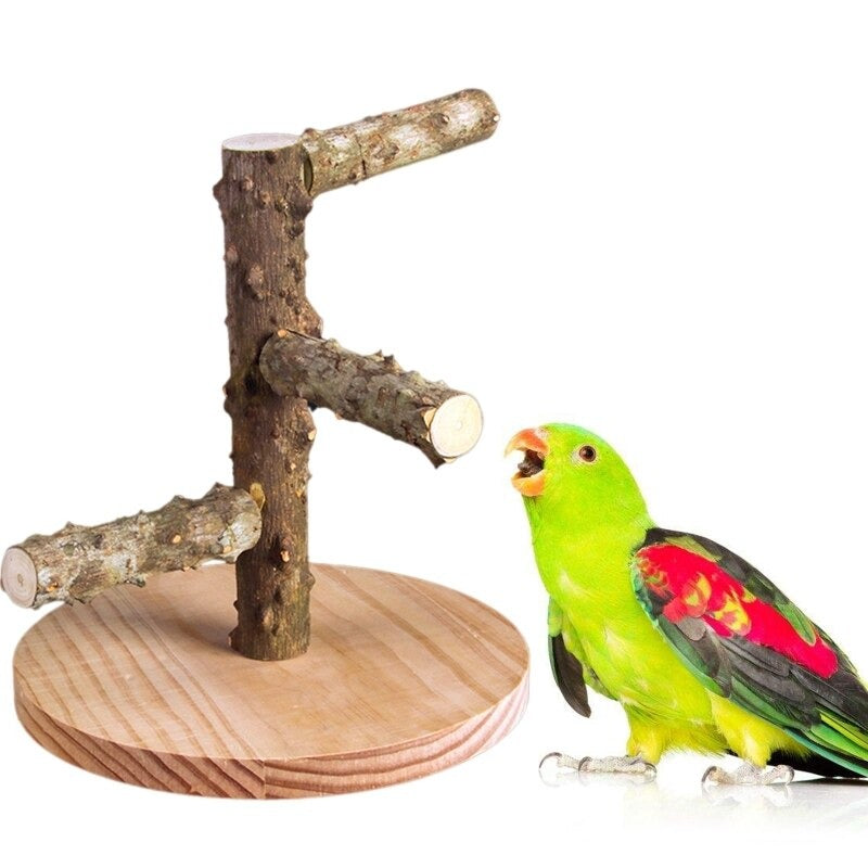 Wooden Bird Perch Stands With Base